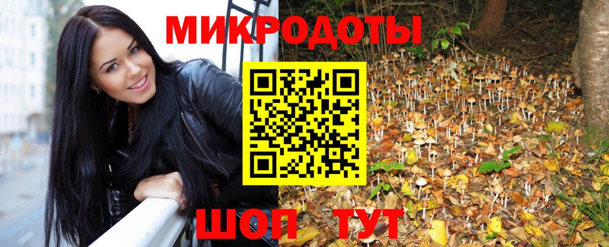 Переславль-Залесский  Галлюциногенные грибы прущие грибы  Вход с VPN 